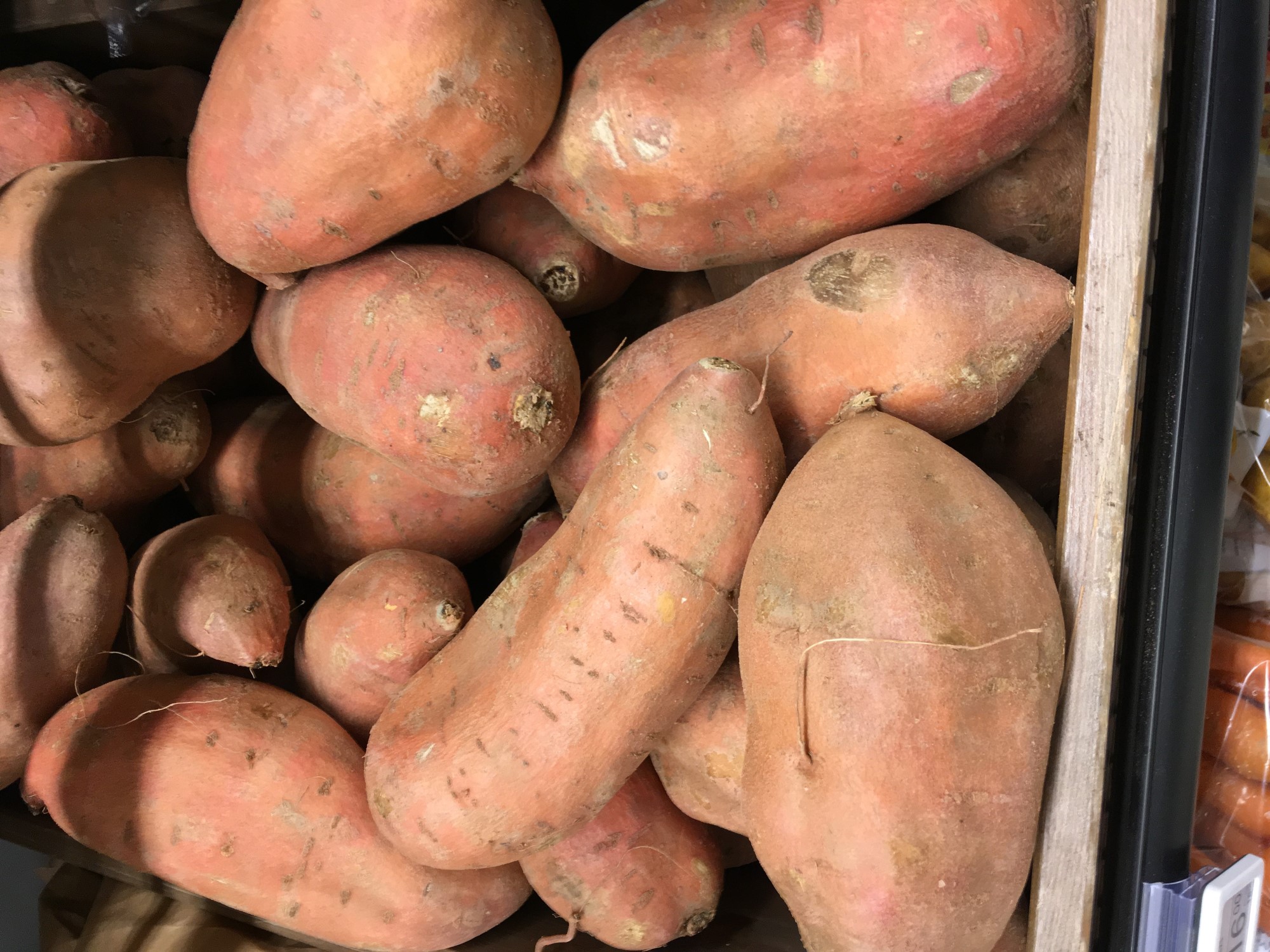 Foto: Stig F. Nielsen